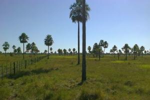 VentaAsuncin (Paraguay) Villa Hayes